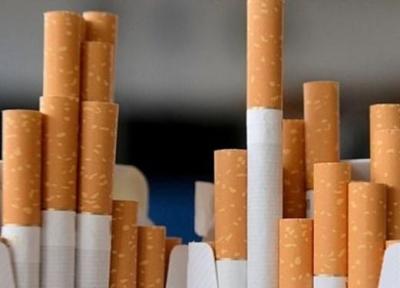 صدور مجوز 45 برند جدید فراوری دخانیات، وزارت صمت جوابگو باشد