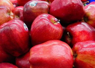 سیب درختی کهگیلویه و بویراحمد به نام استان های دیگر صادر می شود