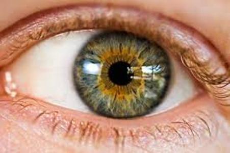سهم 80 درصدی اپتومتریست ها در آنالیز مسائل بینایی