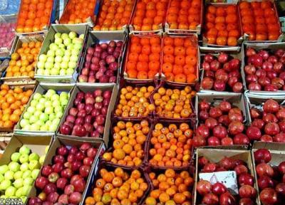 پیدا کنید پرتقال فروش را؛ چه کسی جوابگوی فاسد شدن چندین هزارتن میوه است؟